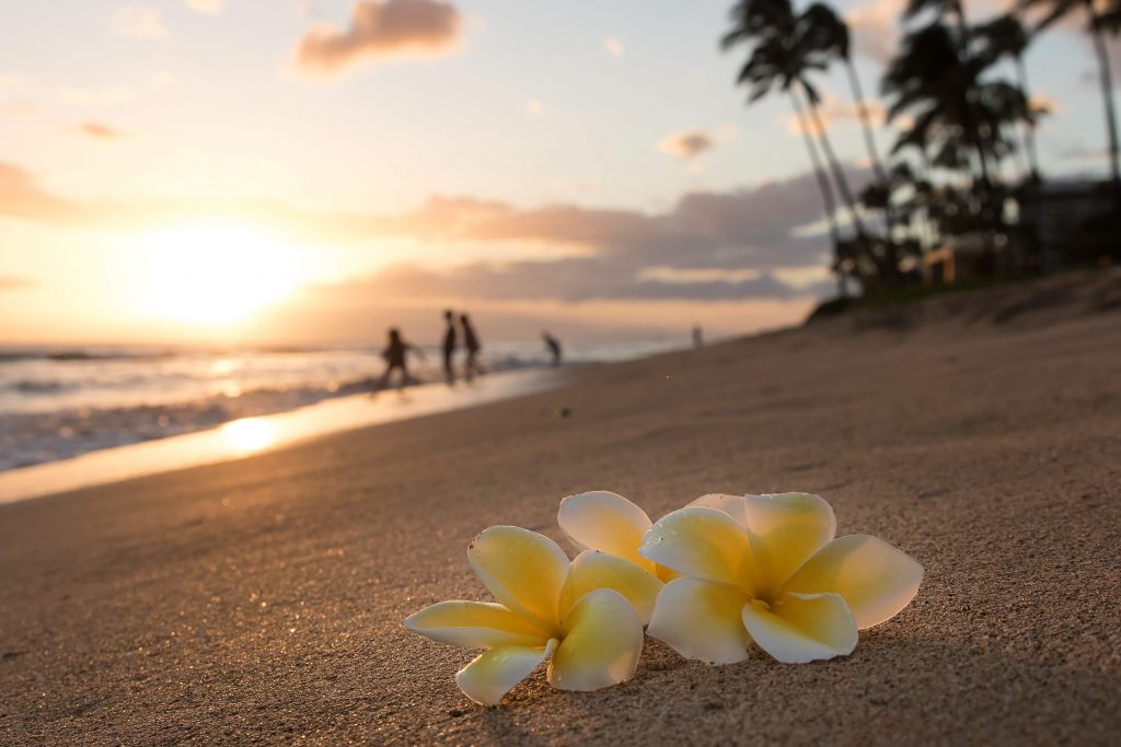 Hawaii beach peaceful sunlight calm